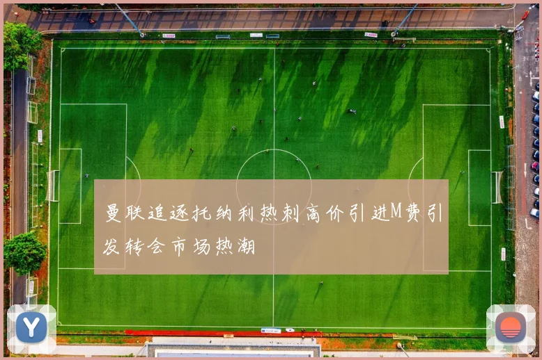 曼联追逐托纳利热刺高价引进M费引发转会市场热潮